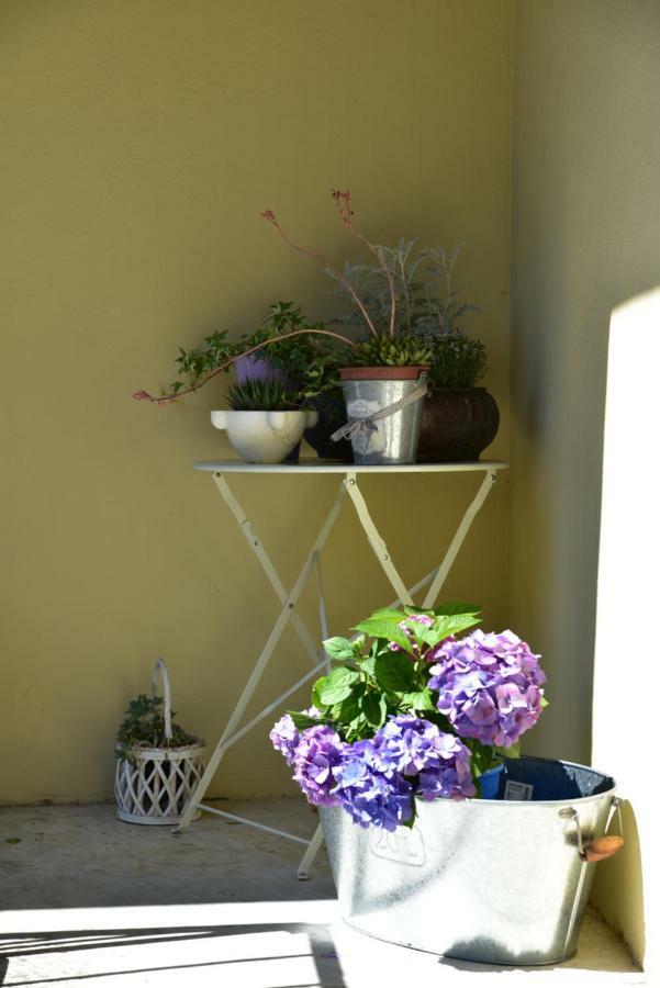 Bed and Breakfast Casa Nina Toirano Exterior foto